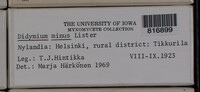 Image Associated With the Occurence